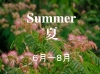 th_summer夏.jpg