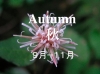 th_autumn秋.jpg