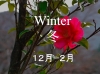 th_winter冬.jpg
